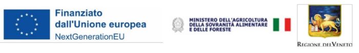 Link pdf finanziamento